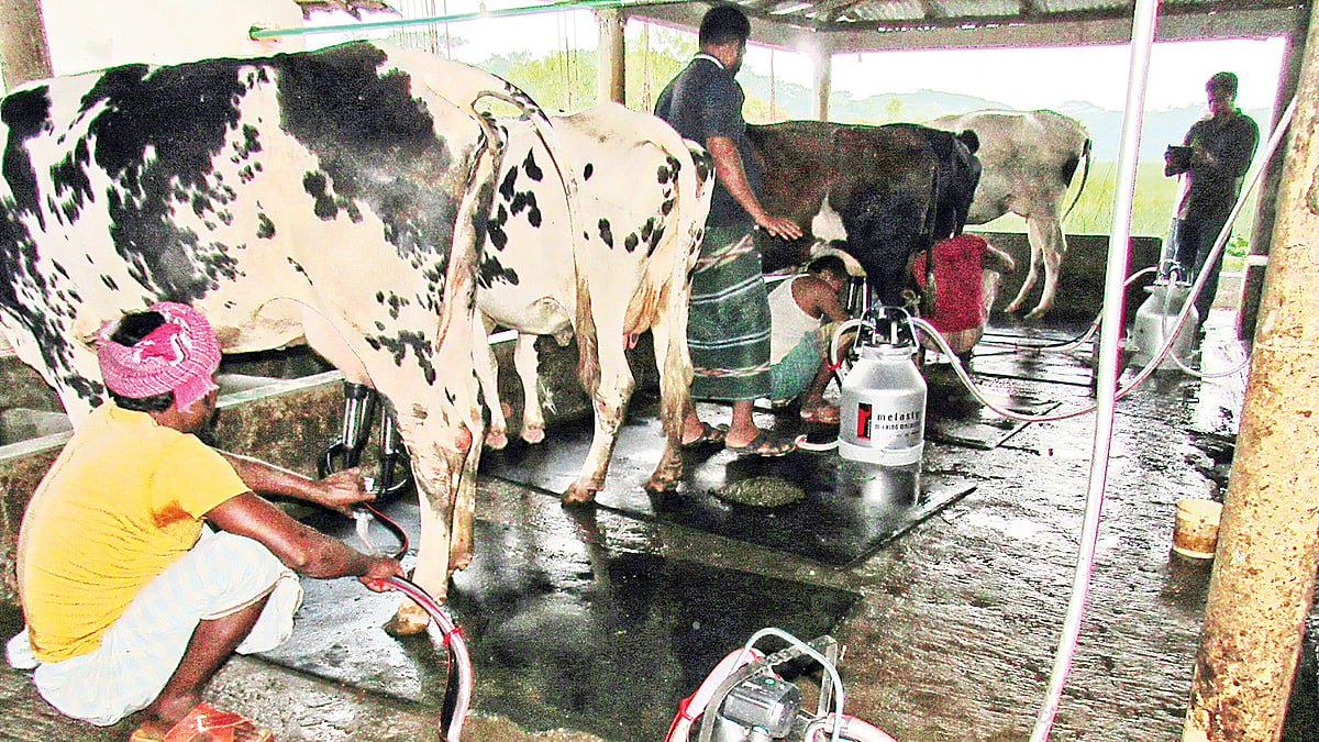 ছবি: প্রথম আলো