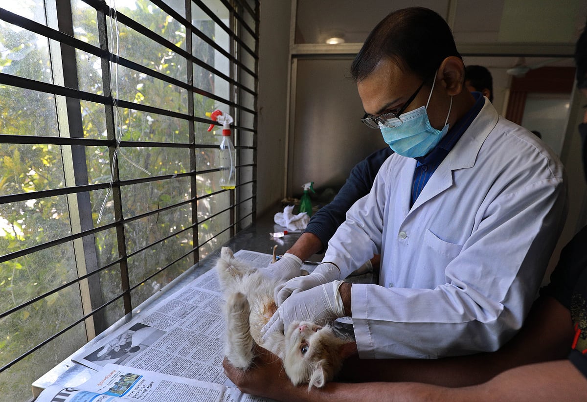 ছবি জুয়েল শীল