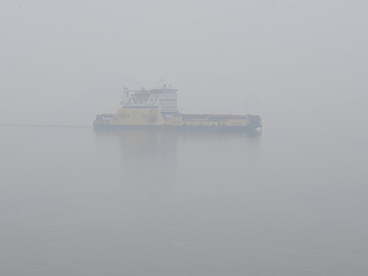ঘন কুয়াশায় দৌলতদিয়া-পাটুরিয়া নৌপথে তিন ঘণ্টা ফেরি চলাচল বন্ধ