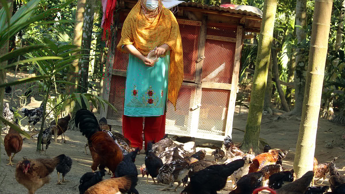 ছবি: প্রথম আলো