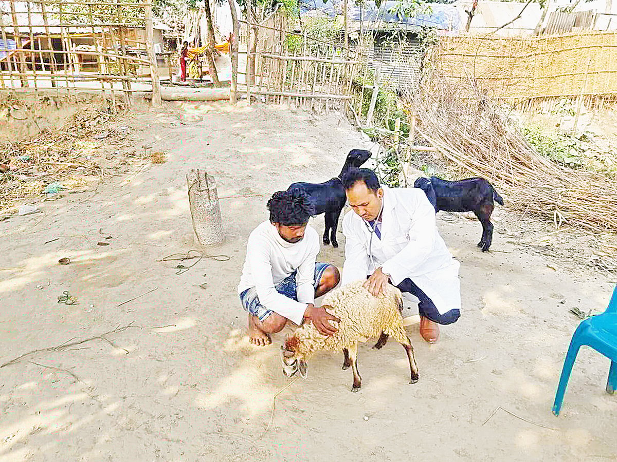 ফাইল ছবি