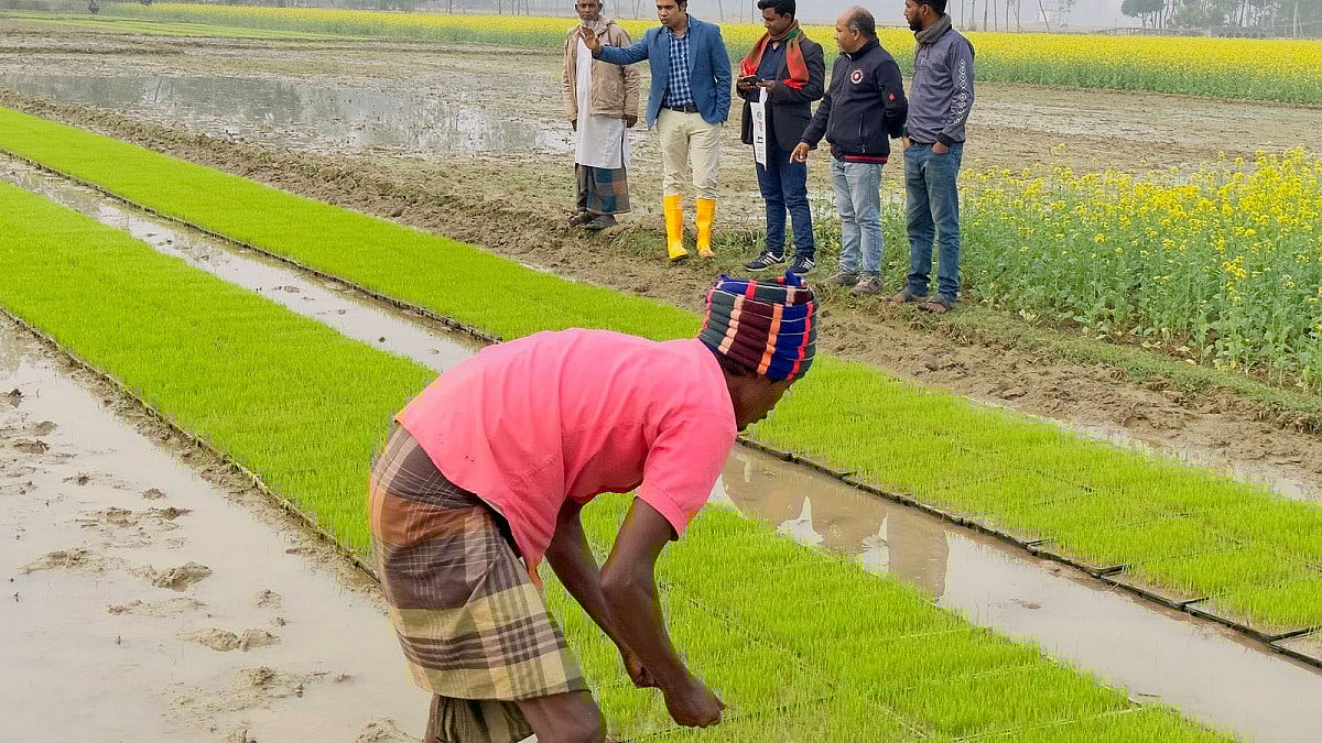 ছবি: প্রথম আলো