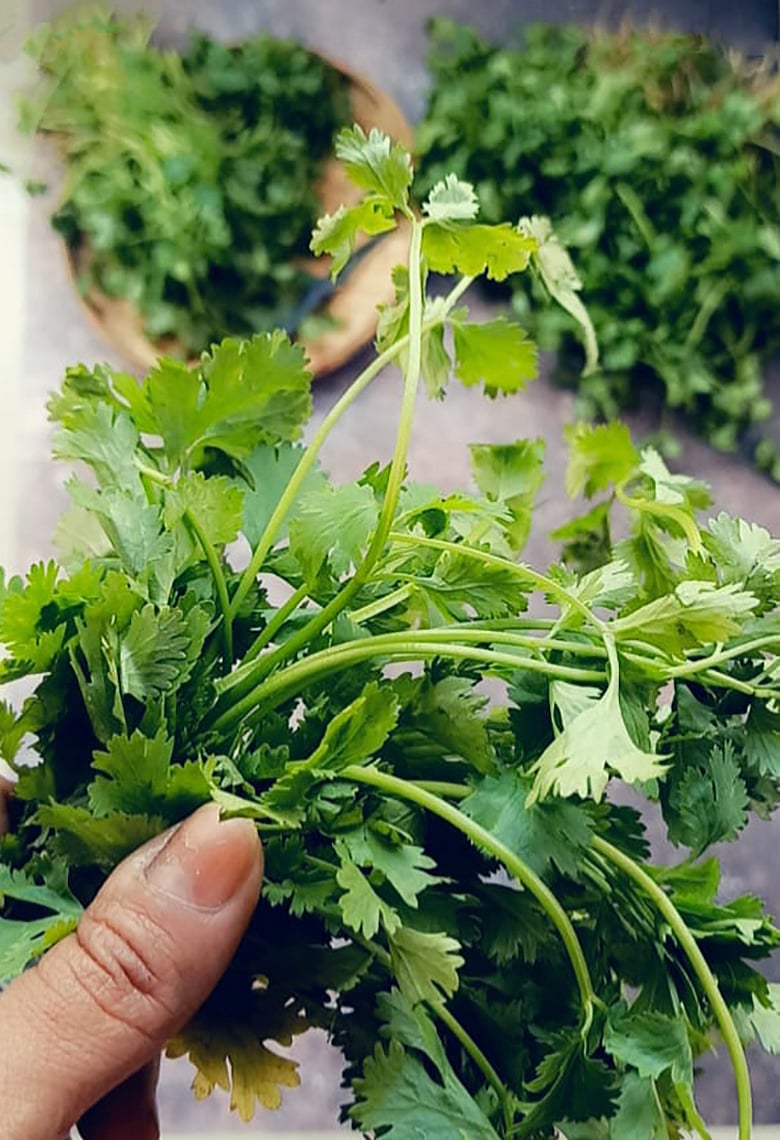 যে কারণে কিছু মানুষ সবার প্রিয় এই হার্বের ফ্লেভার সহ্য করতে পারেনা