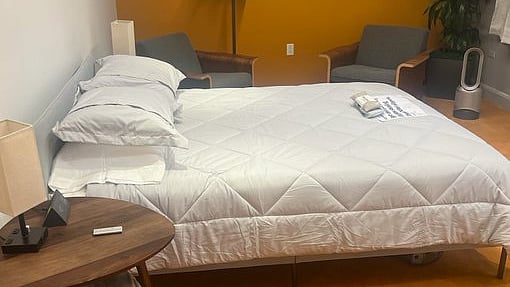 ছবি: টুইটার