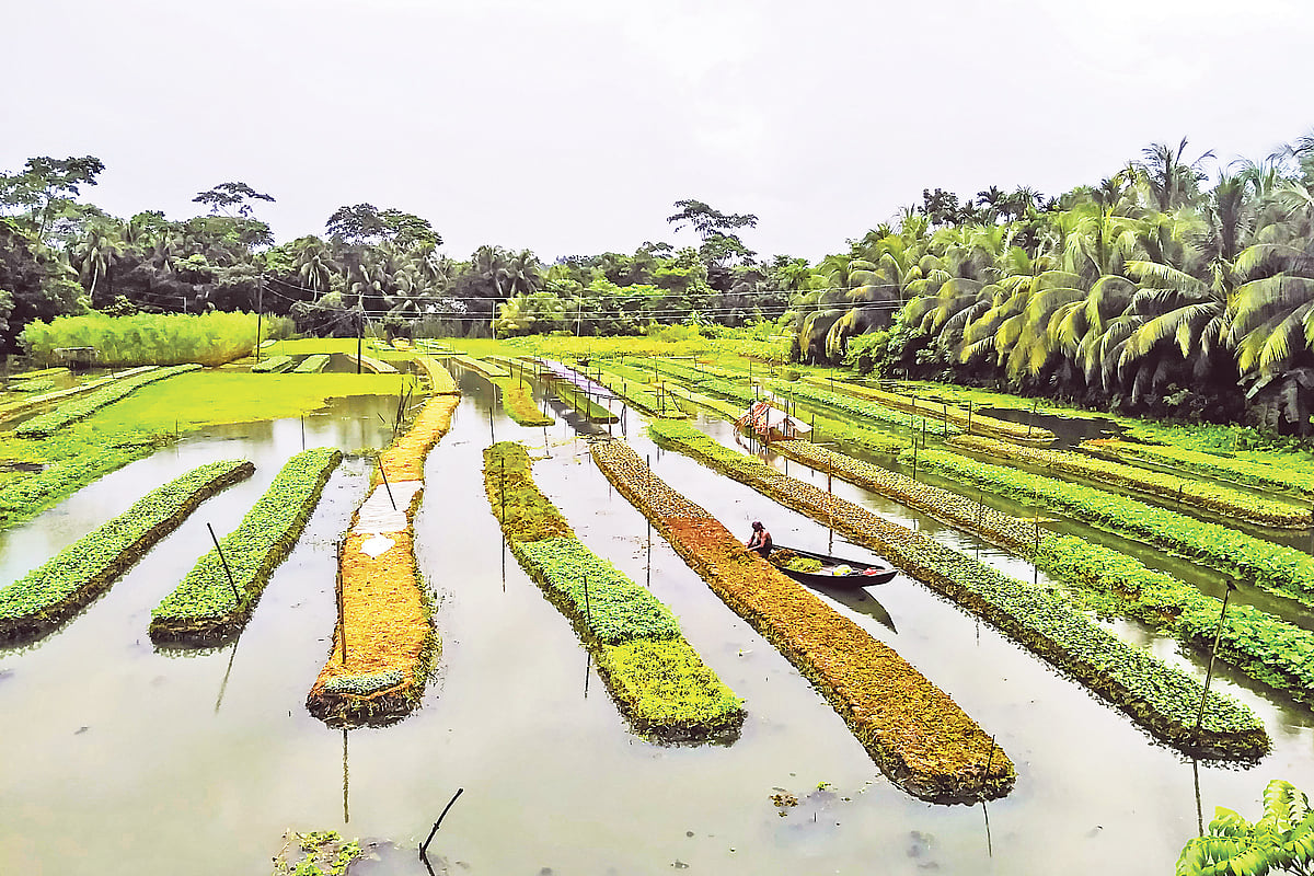 ছবি: সাইয়ান