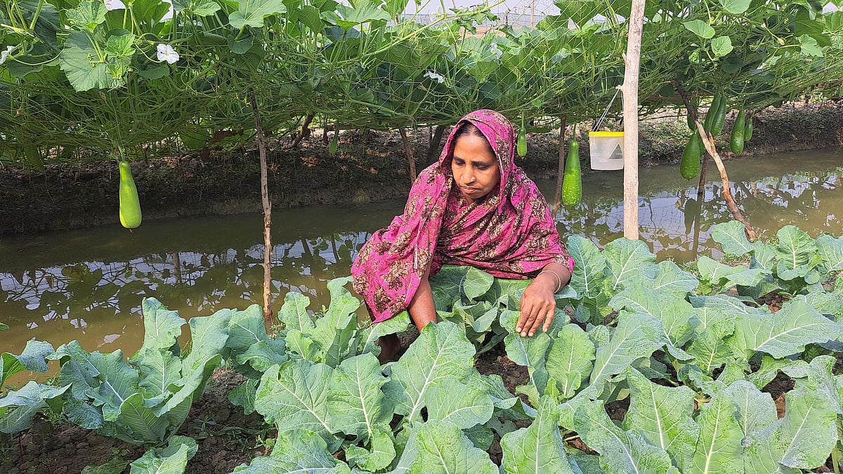 ছবি: প্রথম আলো 