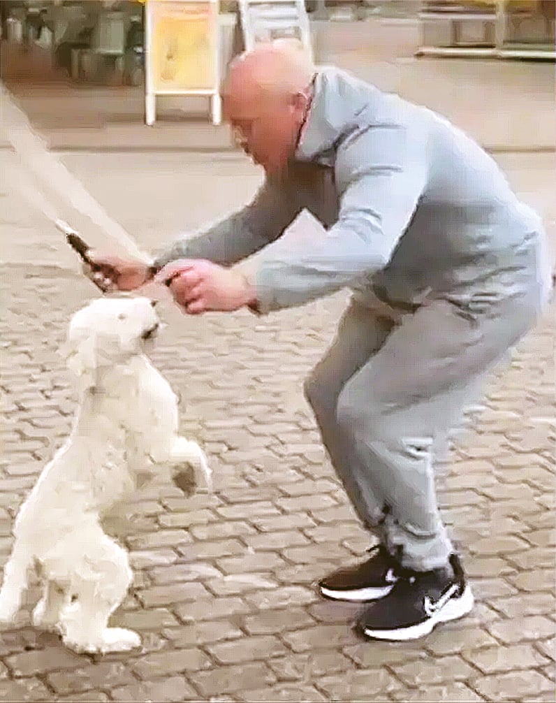 ছবি: ভিডিও থেকে নেওয়া