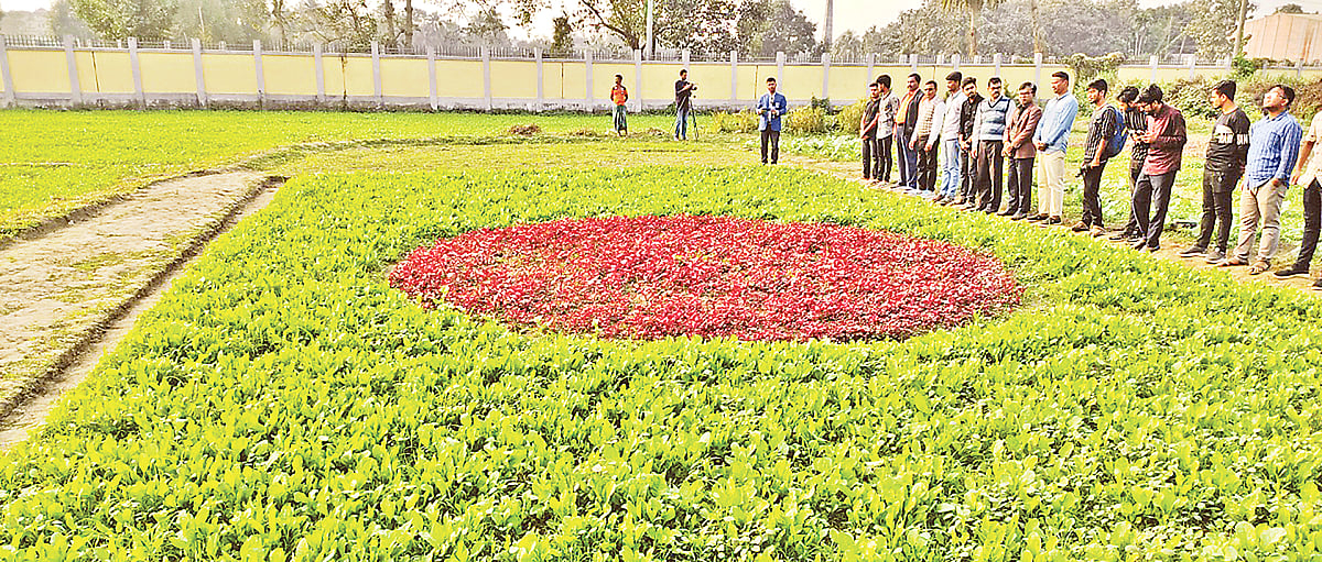 ছবি: প্রথম আলো