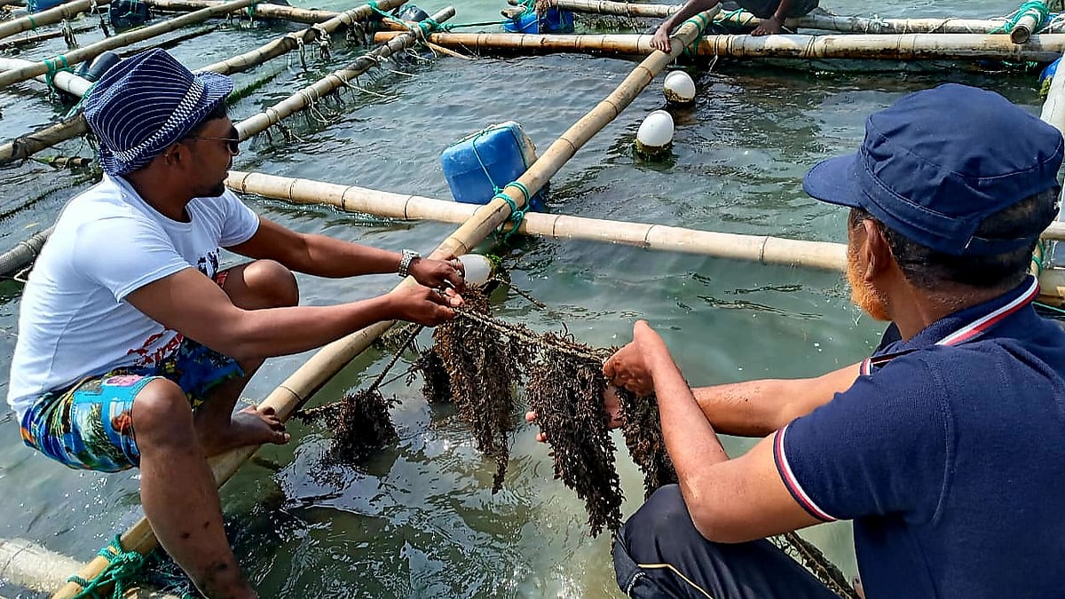 ছবি: প্রথম আলো