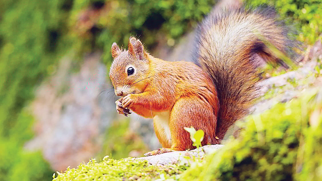 রয়টার্স