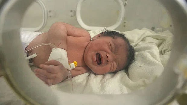 ছবি: এএফপি