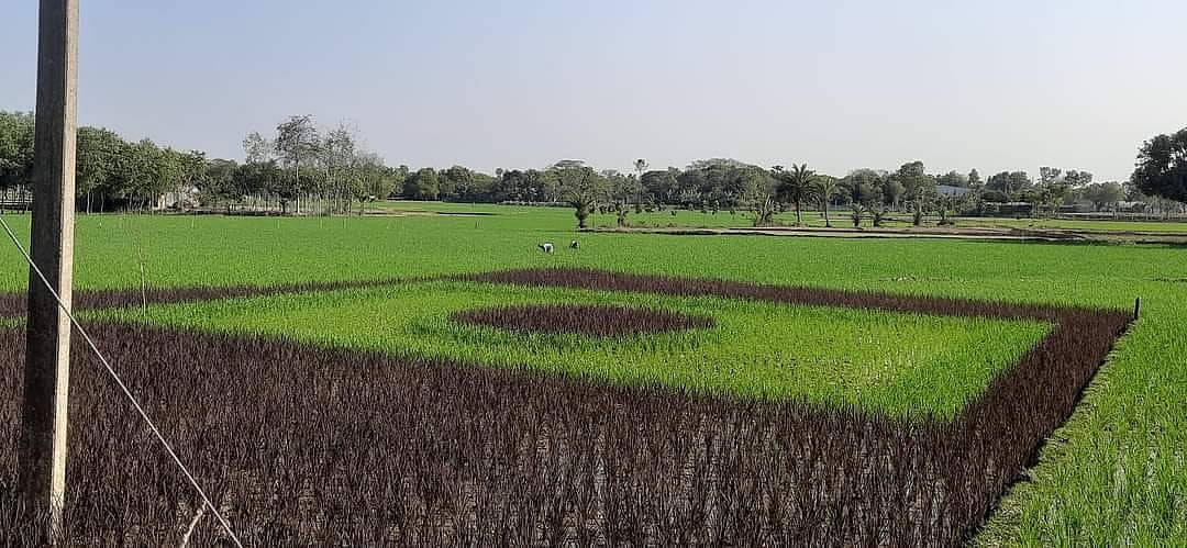 ছবি: সাদিক মৃধা