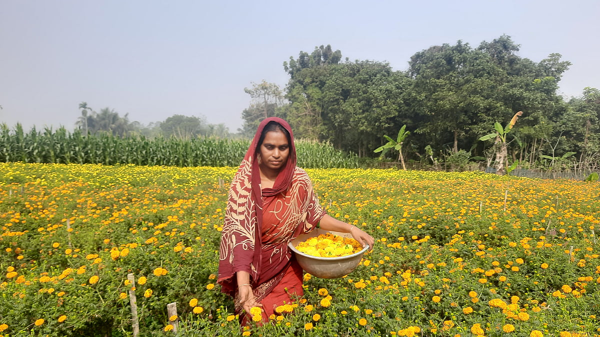 ছবি: প্রথম আলো