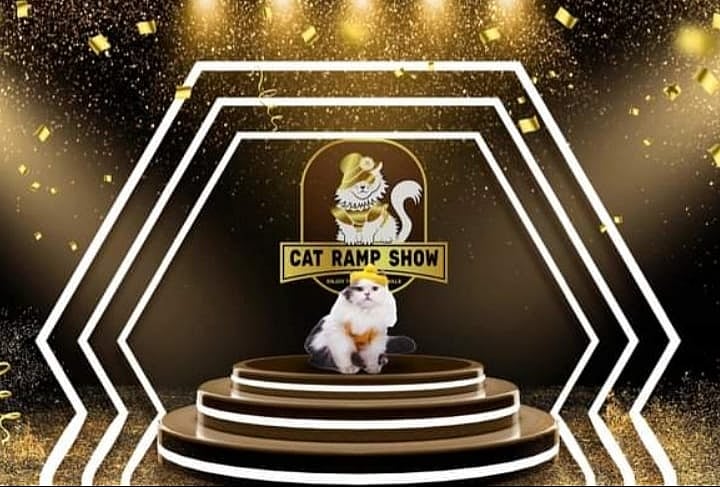 ছবি: আয়োজকদের ফেসবুক থেকে নেওয়া