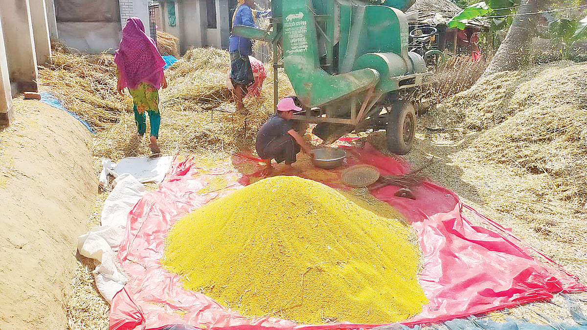 ছবি: প্রথম আলো