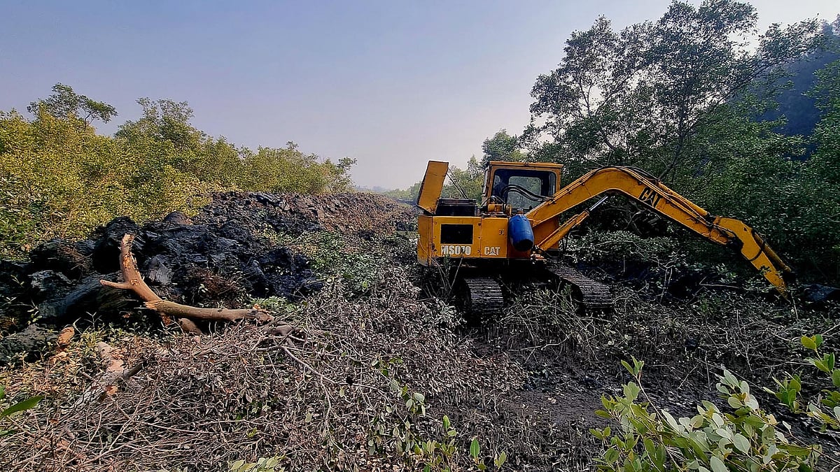 ছবি: প্রথম আলো