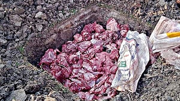 ছবি: প্রথম আলো