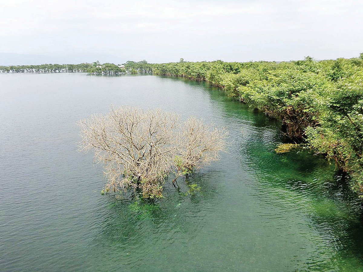 ছবি: প্রথম আলো