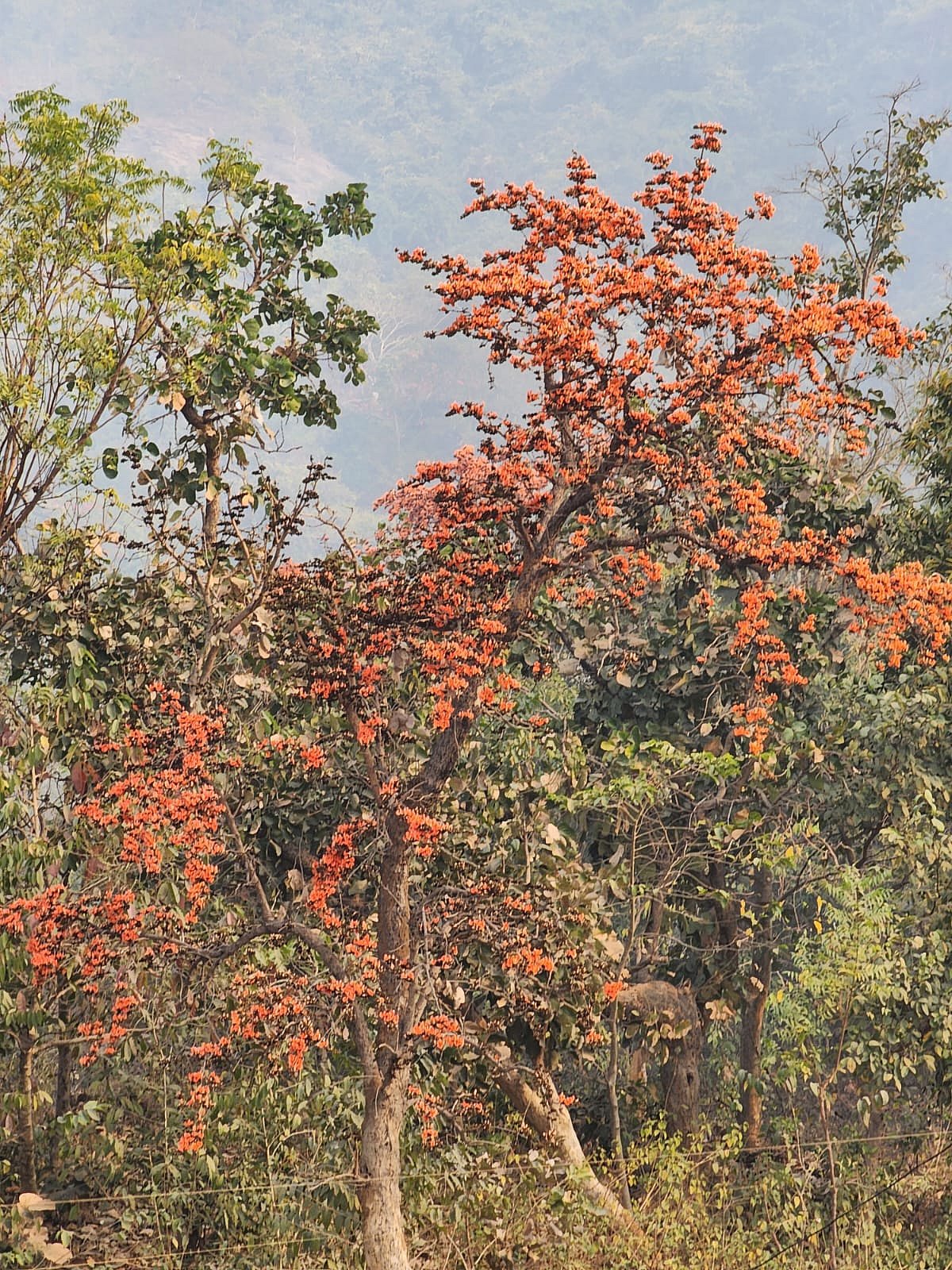 ছবি: ভাস্কর মুখার্জি