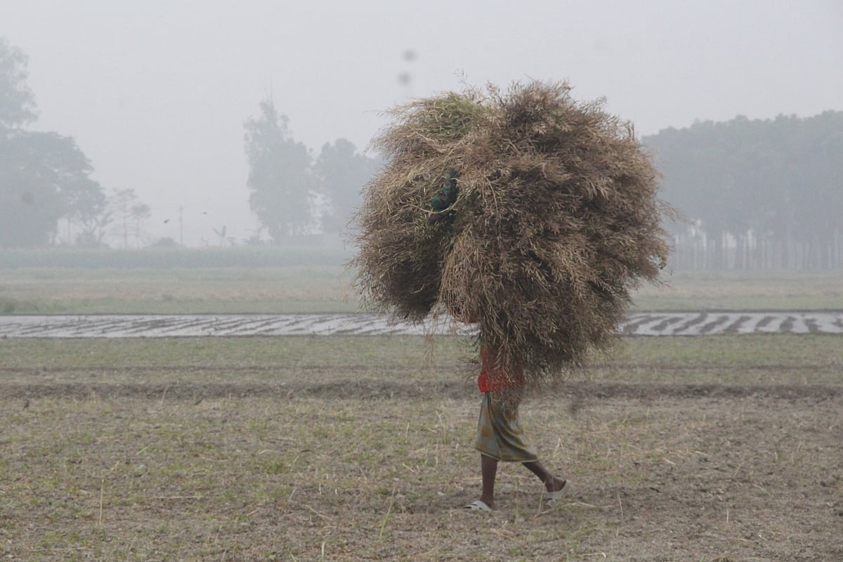 ছবি: আব্দুল মোমিন