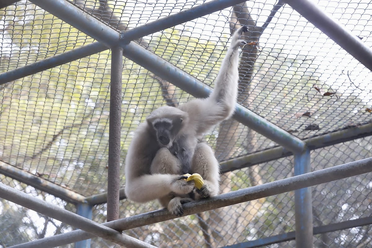 ছবি: আশরাফুল আলম