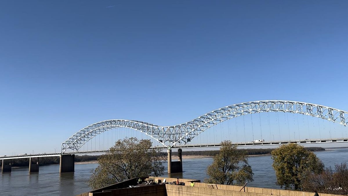 ছবি: লেখক