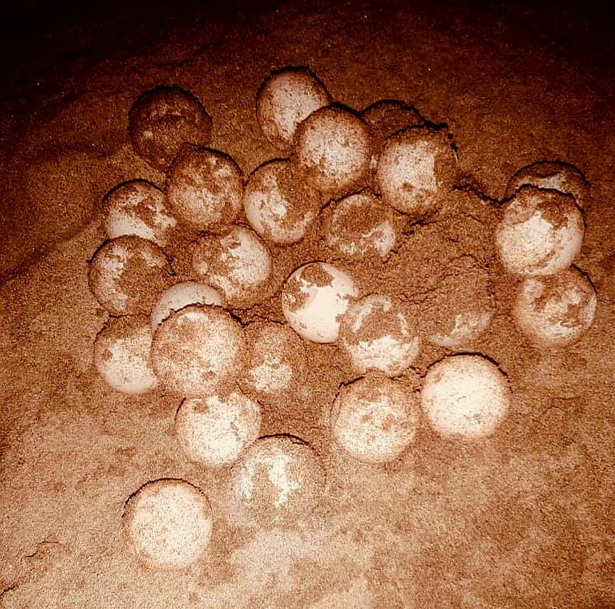 ছবি: প্রথম আলো