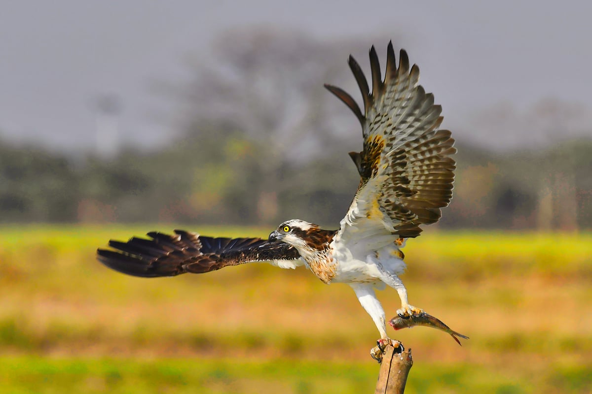 ছবি: নূর ইসলাম
