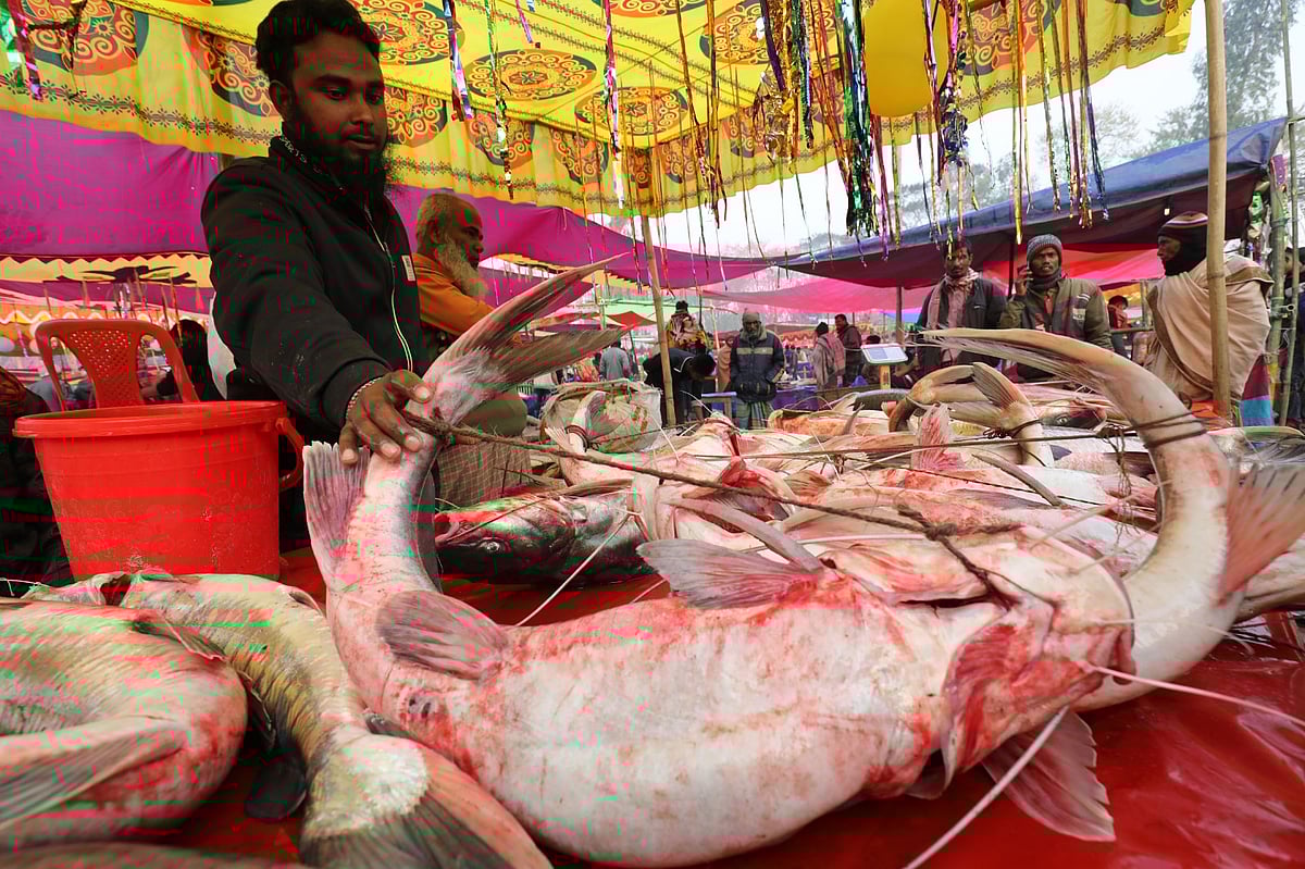 ঐতিহ্যবাহী পোড়াদহ মাছের মেলায় উঠেছে নদীর আইড়, ভেউশ, গুজিয়া, বোয়ালসহ নানা প্রজাতির মাছ। দাম অনেকটা চড়া। প্রতি কেজি মাছের দাম হেঁকেছেন ১০০০ থেকে ১৫০০ টাকা।