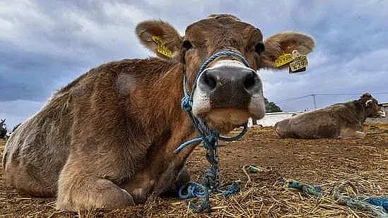 প্রতীকী ছবি। ছবি: এএফপি