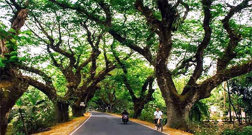ছবি: ভাস্কর মুখার্জি