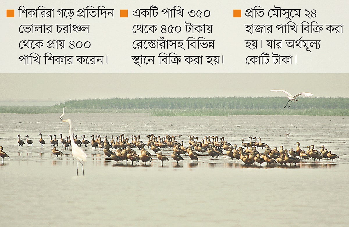 ছবি: প্রথম আলো 