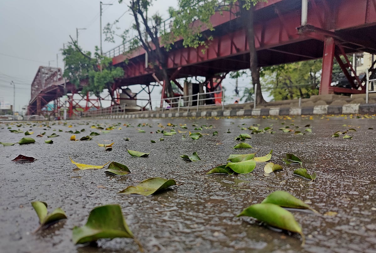 বৃষ্টিভেজা কিনব্রিজ এলাকা। সড়কে পড়ে আছে গাছের পাতা