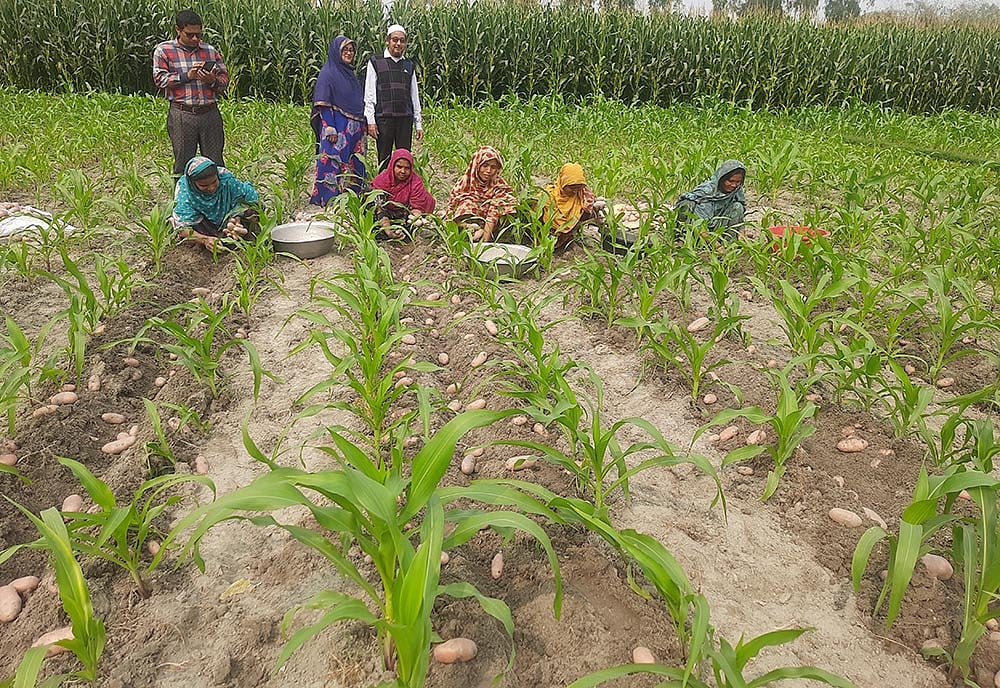 ছবি: প্রথম আলো