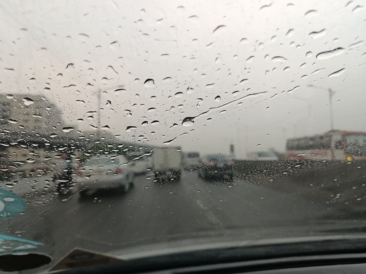 ছবি: প্রথম আলো