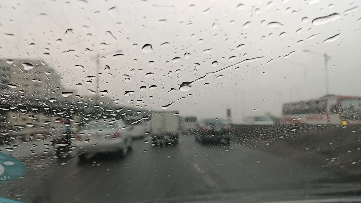 ফাইল ছবি: প্রথম আলো