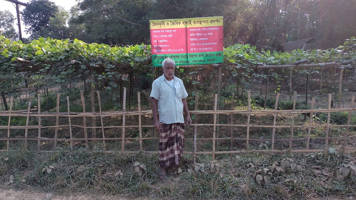 ছবি : প্রথম আলো