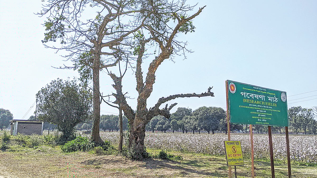 ছবি: প্রথম আলো