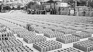 ছবি: প্রথম আলো