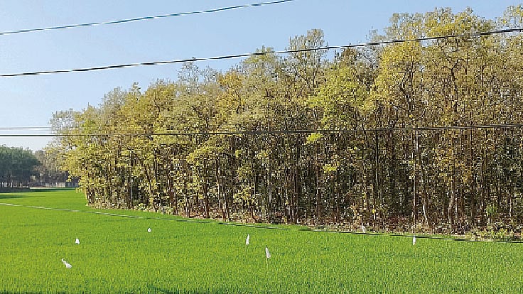 ছবি: লেখক