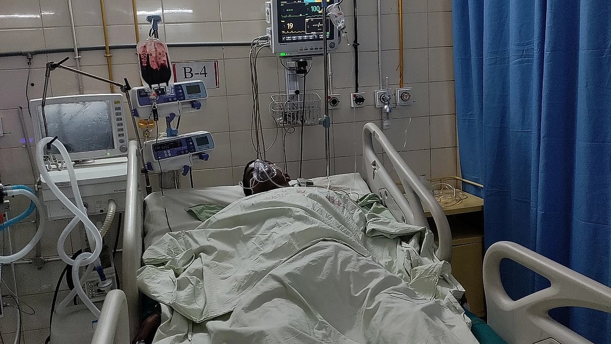 ছবি: প্রথম আলো