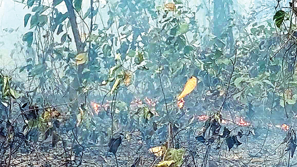   প্রথম আলো