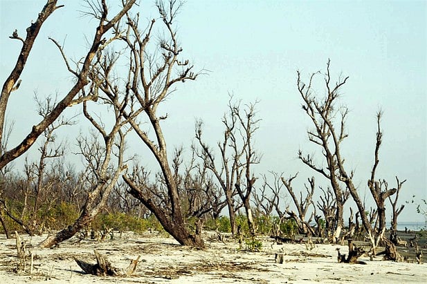 ছবি: প্রথম আলো