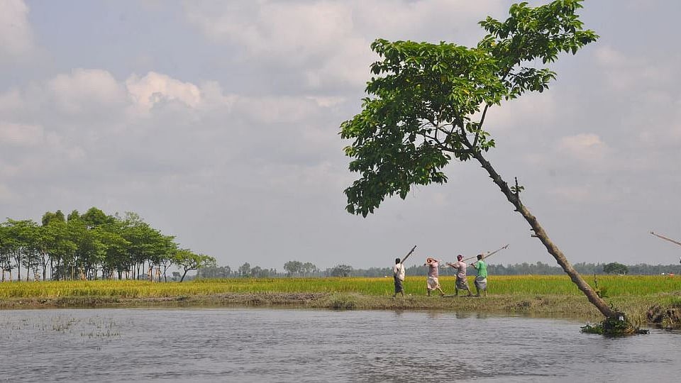 ফাইল ছবি