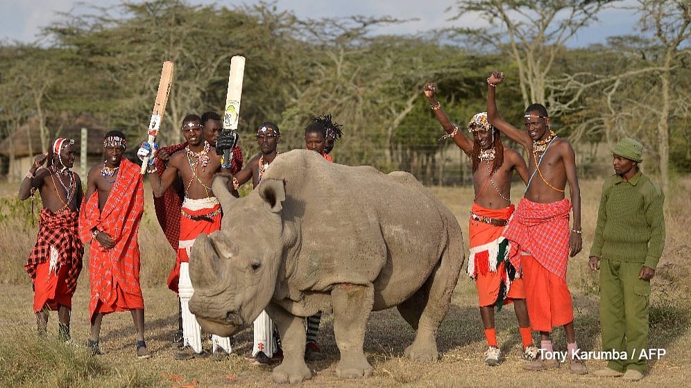 ছবি: এএফপি