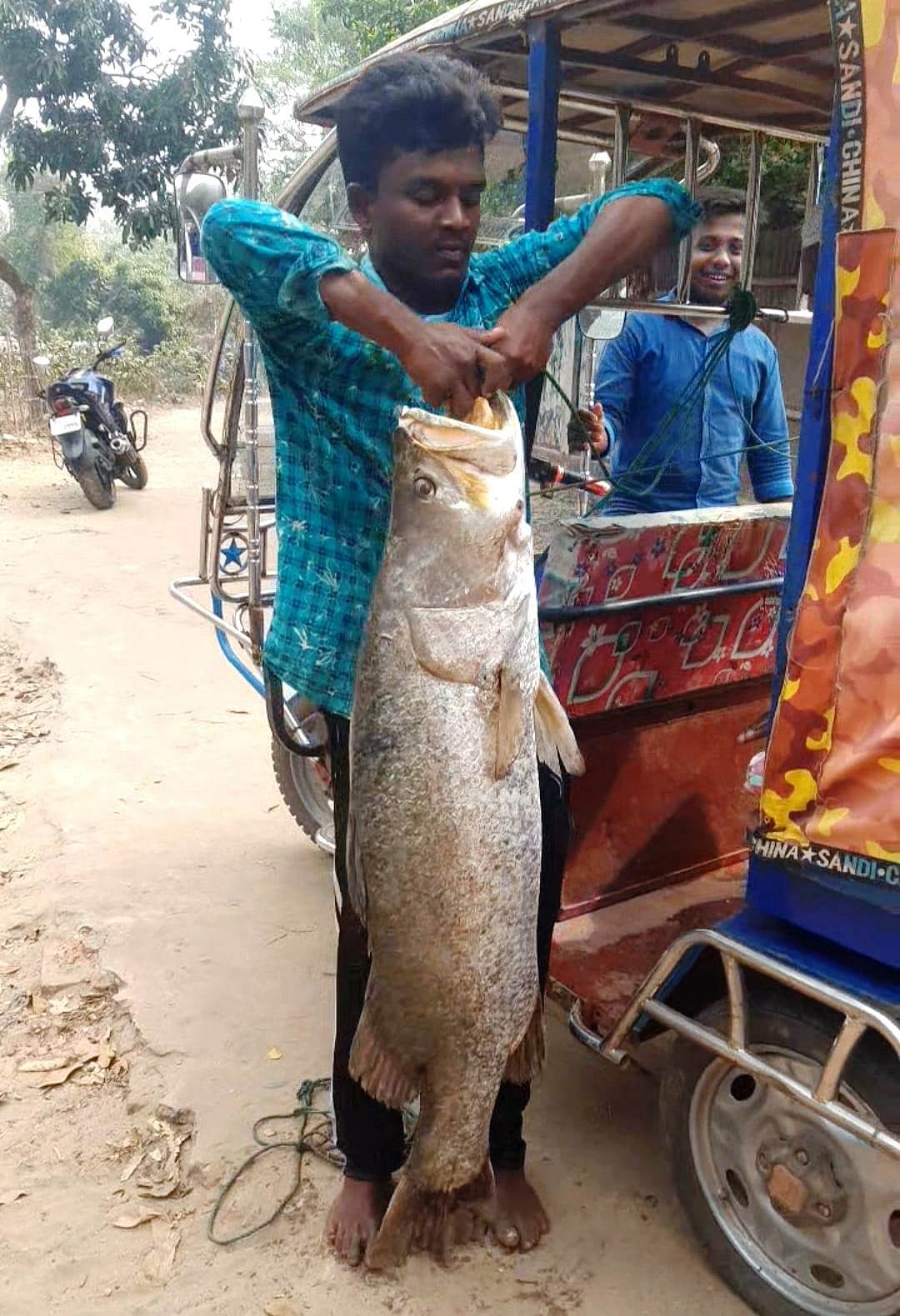 ছবি: প্রথম আলো