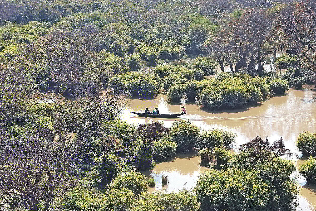 আনিস মাহমুদ