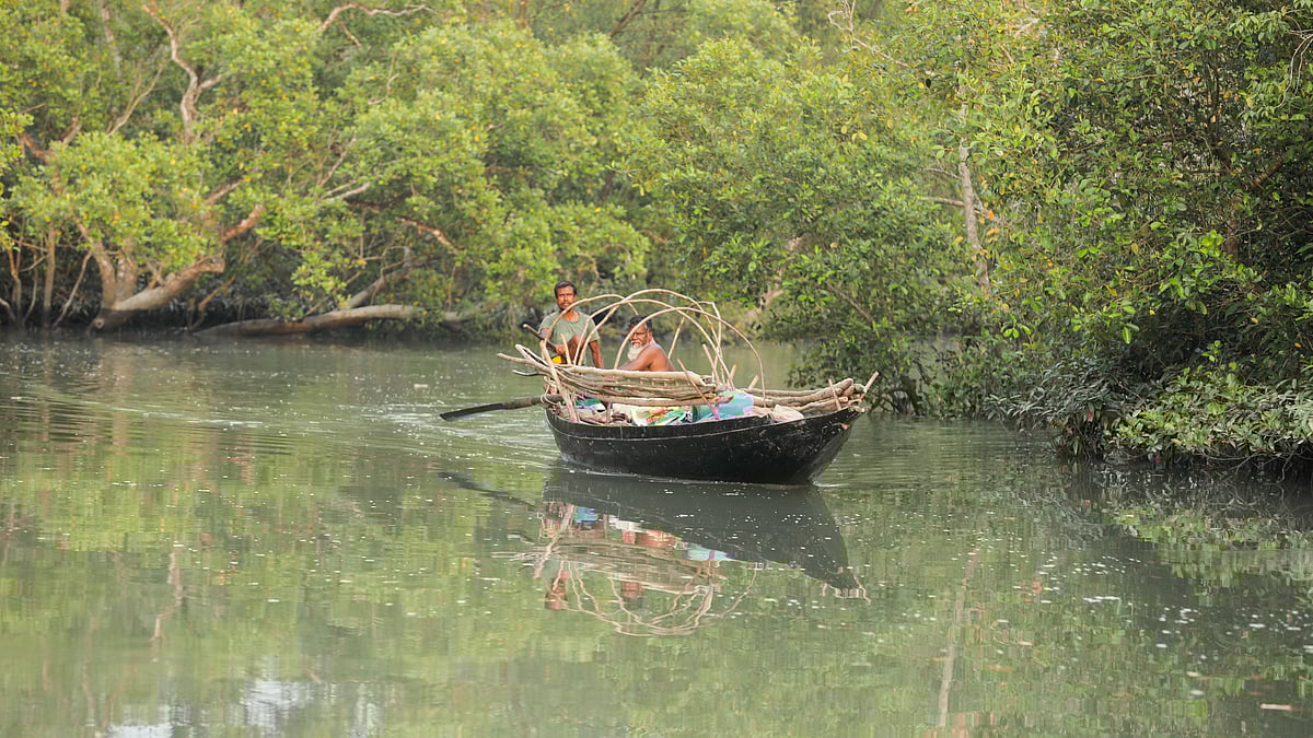 ছবি: সাদ্দাম হোসেন