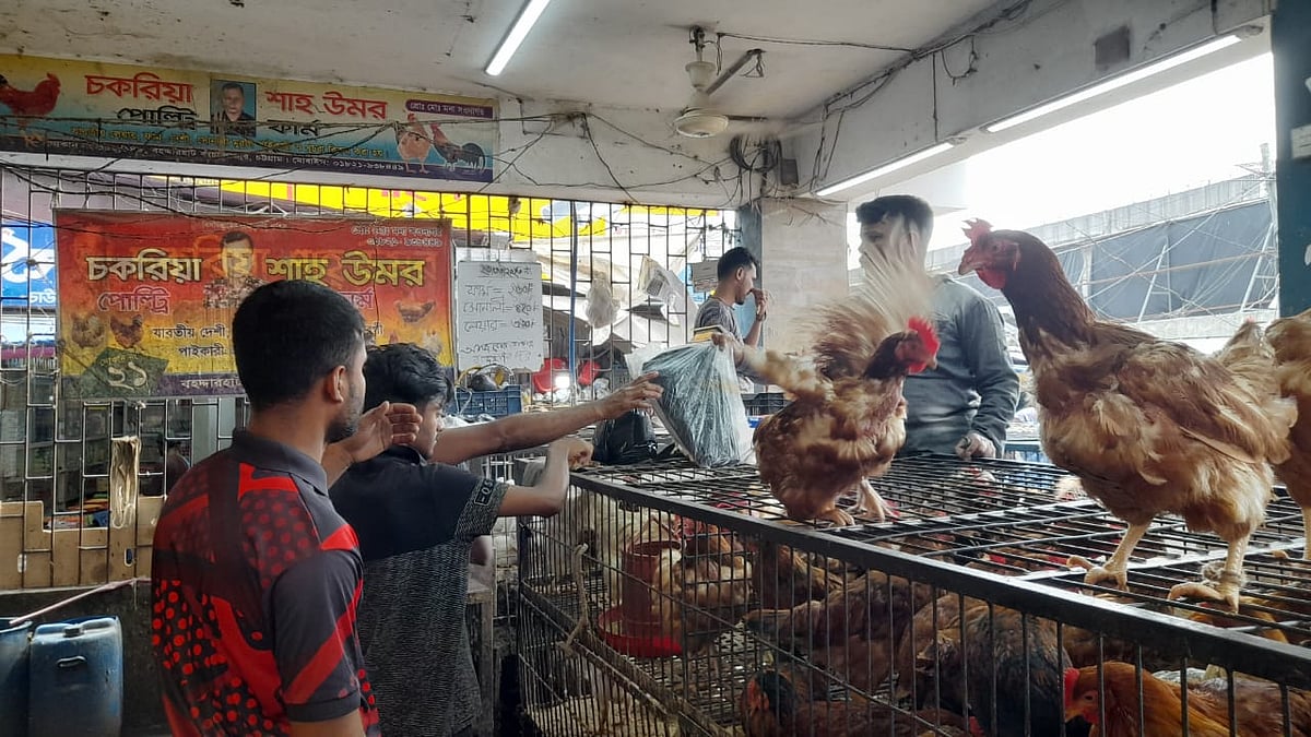 রাজধানীতে ব্রয়লারের কেজি আবার ২০০ টাকা ছুঁয়েছে