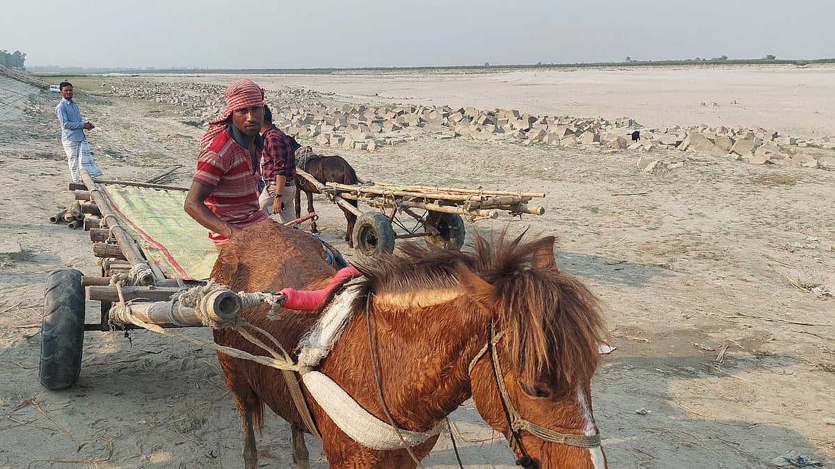 ছবি: প্রথম আলো